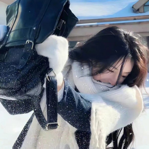 凤皇传
